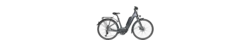 CEB CARBON